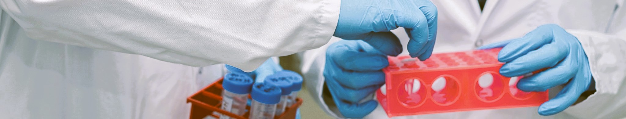 Two people working in the lab.