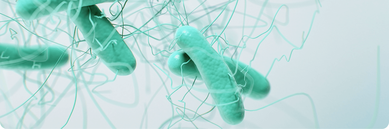 3D illustration of rod-shaped bacteria with thin flagella strands floating in a pale green microscopic environment, representing microbial activity or infection.
